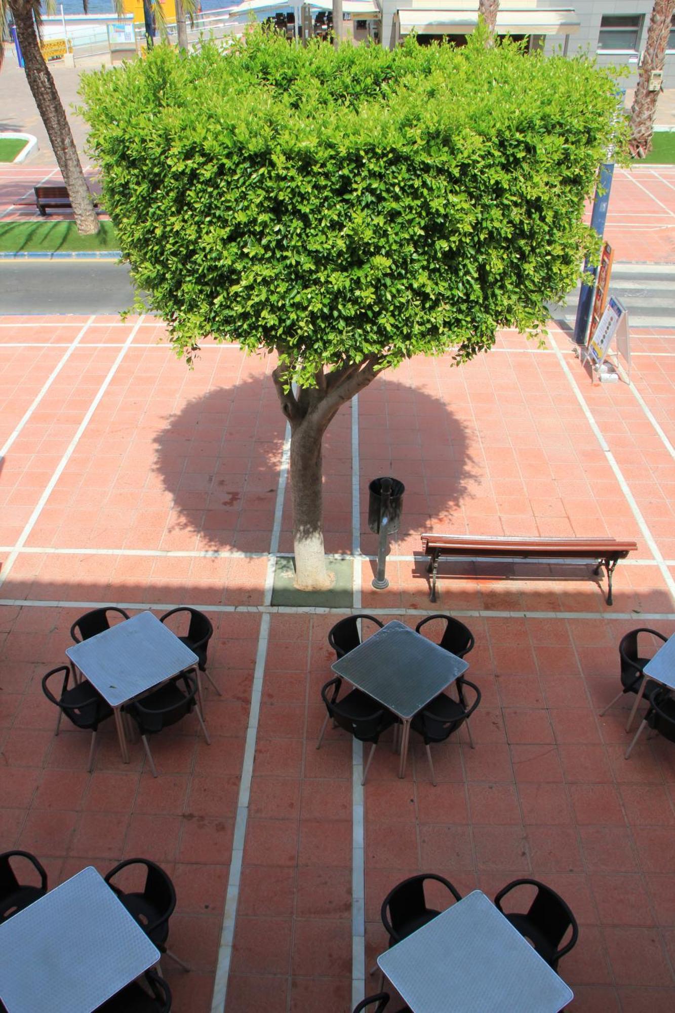 Hotel El Marino Santiago De La Ribera Zimmer foto